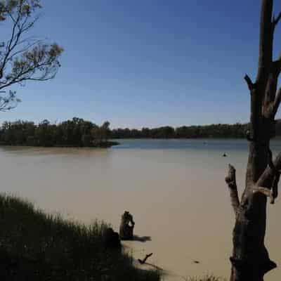 Nationals, Greens rock the boat on Murray Darling plans