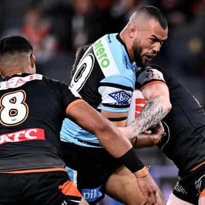 Bruised Shark Rudolf desperate to match it with Collins