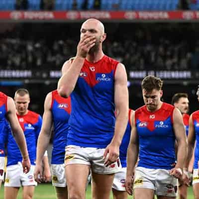 Demons' Angus Brayshaw 'shattered' after concussion