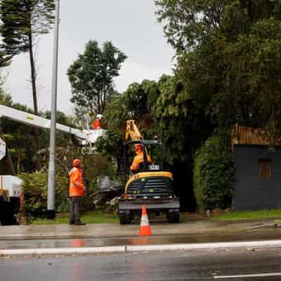 Strong winds in east as storms down trees, damage homes