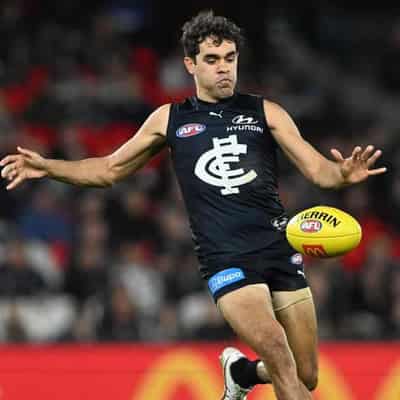 Carlton's Martin cops two-match ban for Blakey high hit