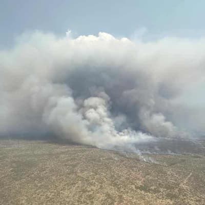 SA fire bombers sent to battle large bushfire in NT