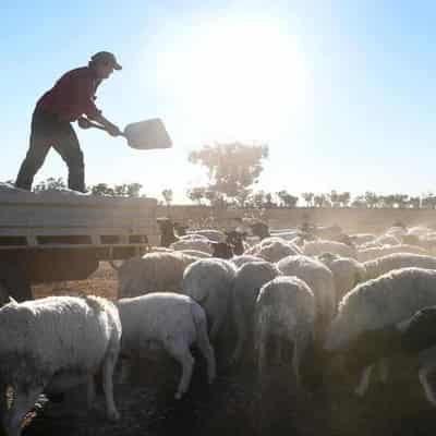 New tool to help farmers hit by natural disasters