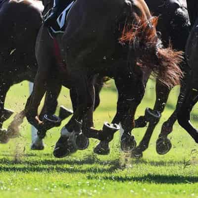 Racing Victoria to discuss compo for abuse survivors