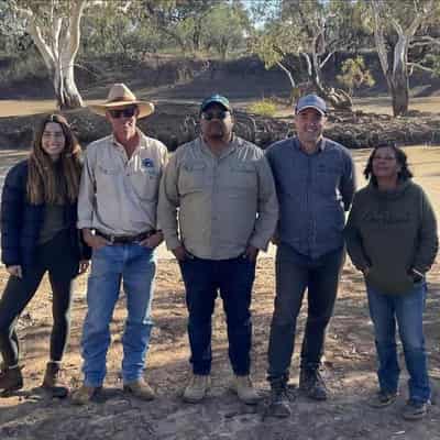 Carbon farm sale lets descendants return to country