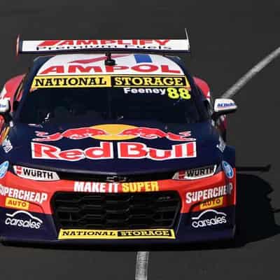 Young gun Feeney wins Sandown 500 with legend Whincup