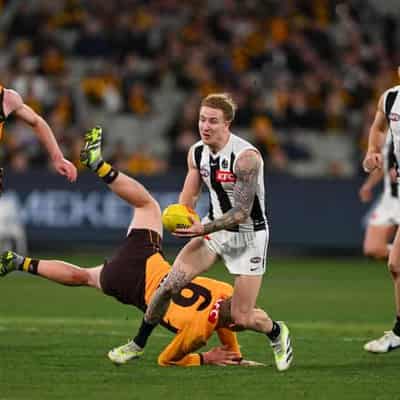 Beau McCreery senses Magpies' pressure in AFL flag hunt