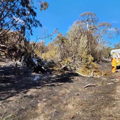 Heatwave, bushfires wreak havoc as threat moves north