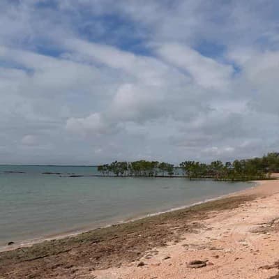 Owners halt commercial barra fishing over eco concerns