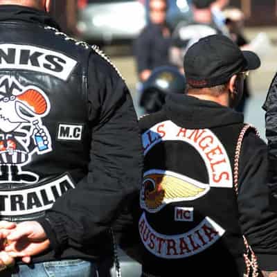 Judge: bikies 'crazed teens who want to join posse'