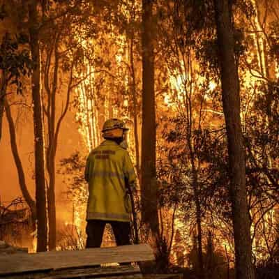 Labor mulls options to bolster fire-fighting ranks