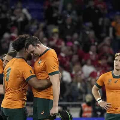 Wallabies rocked by Wales horror show