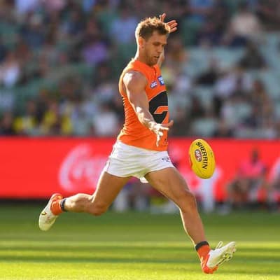 Ireland, de Boer endorsed for AFL Commission roles