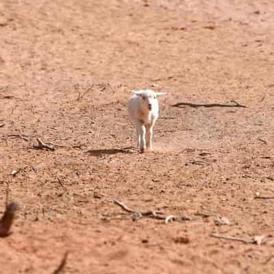 Farmers backed to tackle disasters, drought front on