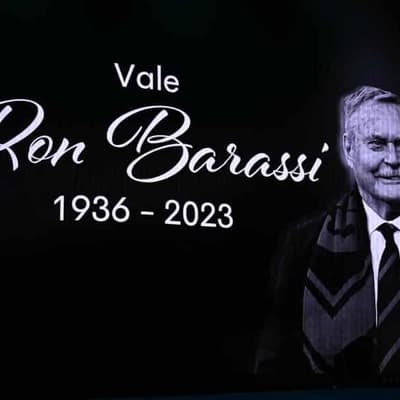 AFL yet to make a call on 'Barassi Cup' for premiers