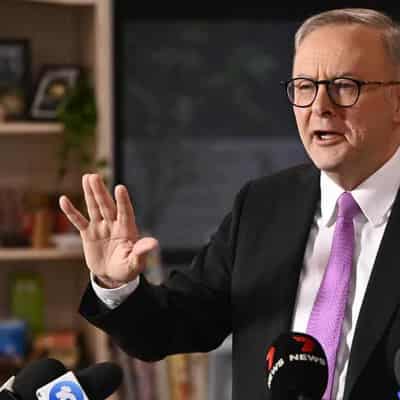 Absurd Albanese clip fools voice voters