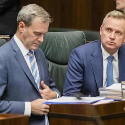 Libs limp on as new fights loom for minority government