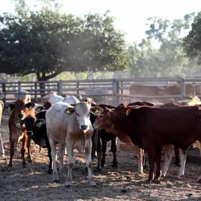 Farm incomes to tumble as drier conditions take hold