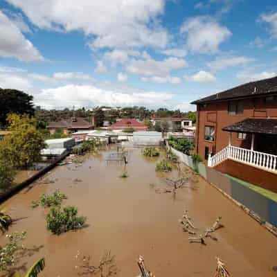 Old data sinks hopes of levee verdict in flood findings