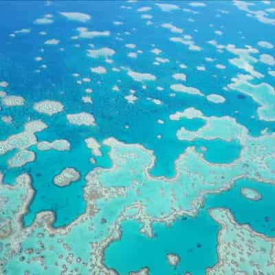 Major new threat to Great Barrier Reef identified