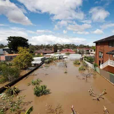 Officials defend Flemington flood wall after disaster