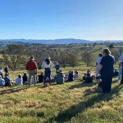 Holistic farming call: 'it's the how not the cow'