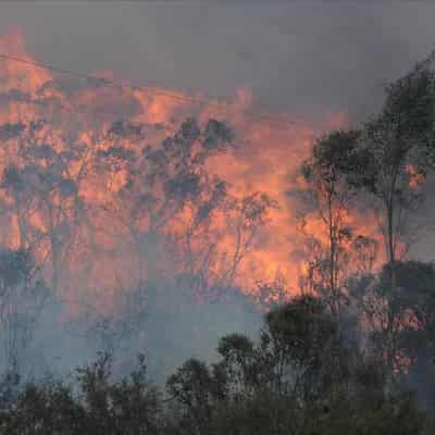 Few Aussies grasp serious, urgent climate threat