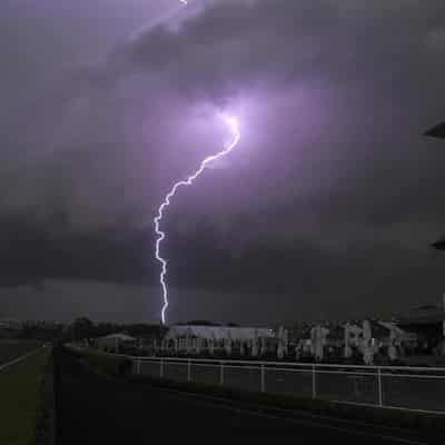 Long pollen season prompts thunderstorm asthma warning