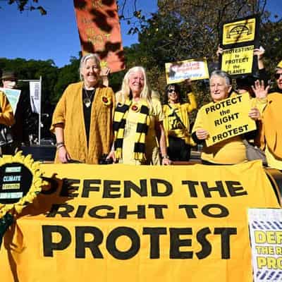 Nannas dig in as UN expert condemns anti-protest laws