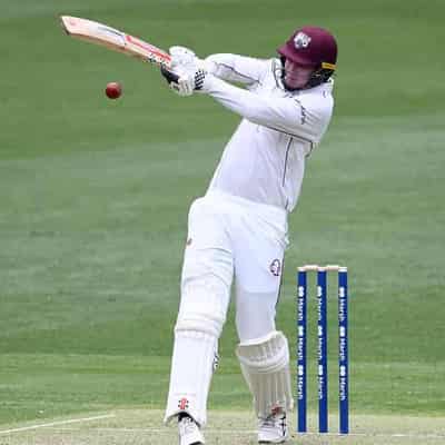 Renshaw ton puts Queensland in box seat against Vics