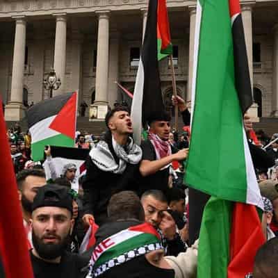 Unity, peace edict issued as Palestine protesters rally