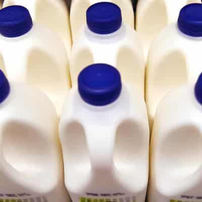 Dairy workers walk off the job over pay, conditions