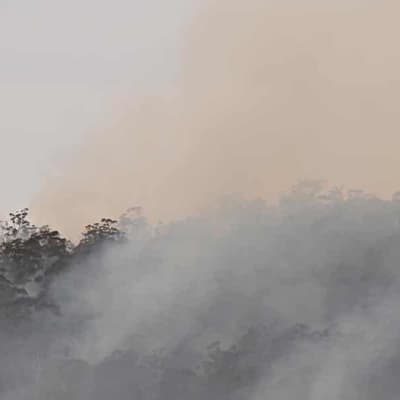 Leave now if you can: Emergency warnings for NSW fires