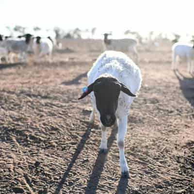 Farmland most 'tightly held' it's been in a generation