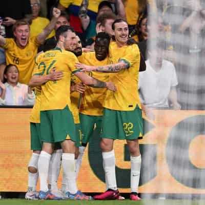 Algeria set to host Socceroos' Palestine WC qualifier