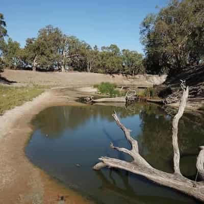 Murray-Darling Basin plan changes pass lower house