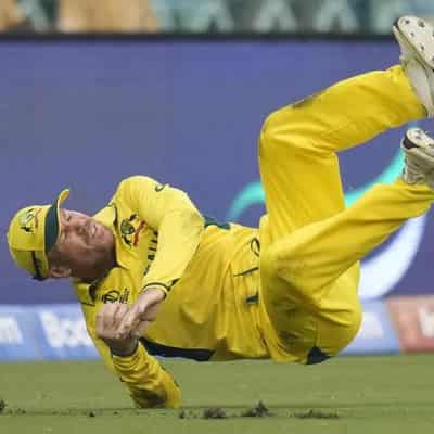 Fielding feats all attitude for 'bulldog' David Warner