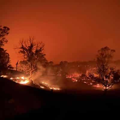 Seven homes lost in northern NSW bushfire