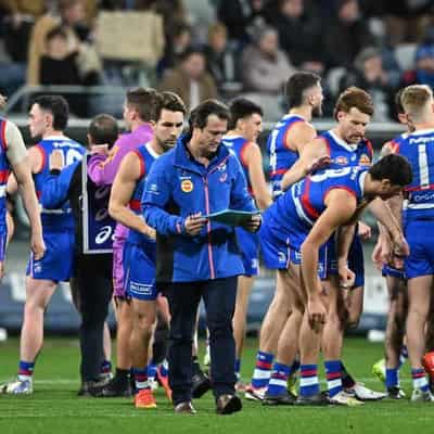 Bulldogs add more AFL experience to football department