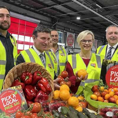 Fresher fruit and veg on the way to SA shelves