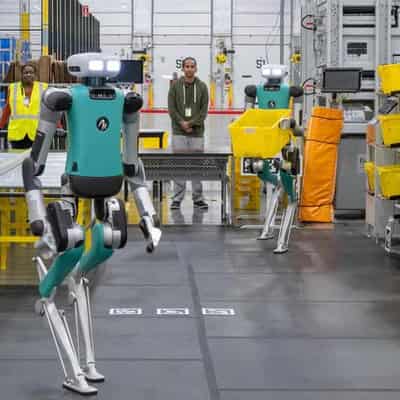 Workers urged to embrace, not fear, robot colleagues