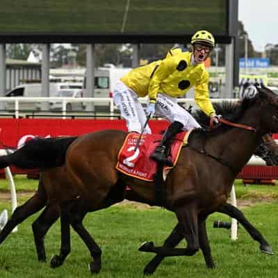 Without A Fight up for Melbourne Cup battle: Zahra