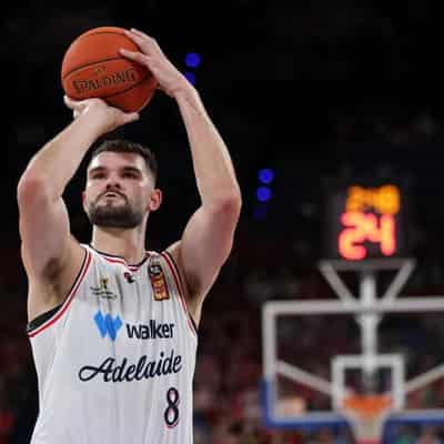 Sixers rebound as Wildcats, Bullets seek NBL answers