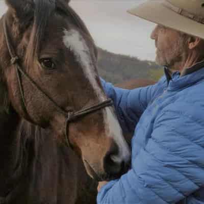 Traumatised veterans, racehorses benefit from therapy