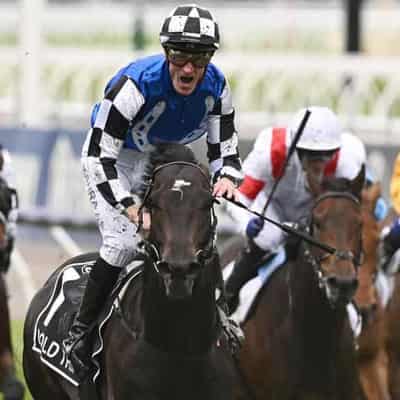 Melbourne Cup champion Gold Trip set for Cox Plate