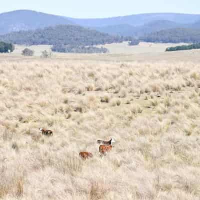 Government grilled over plans for new nature laws