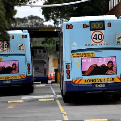 Sydney should follow NYC's lead in bus network overhaul