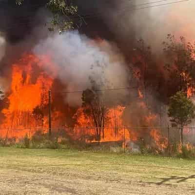 Lightning sparks major blazes across northern NSW