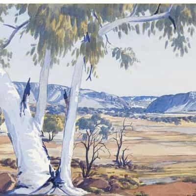 Albert Namatjira watercolours on show for first time