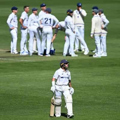 Harris falls cheaply again as Vics hold Shield lead